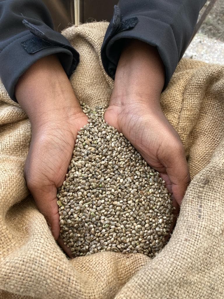 Équipe SCA de la Maladière