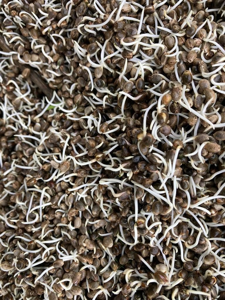 Atelier de transformation